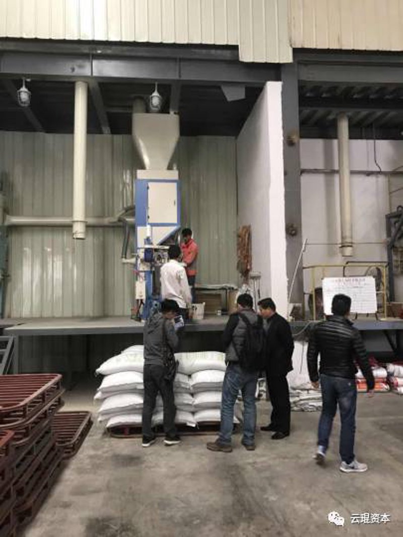 短视频营销：快速提升品牌影响力的关键策略